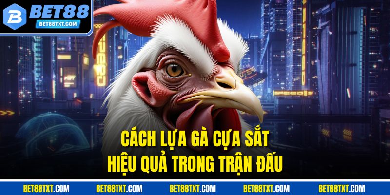Cách lựa gà cựa sắt hiệu quả trong trận đấu