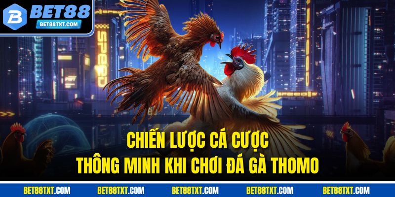 Chiến lược cá cược thông minh khi chơi đá gà Thomo
