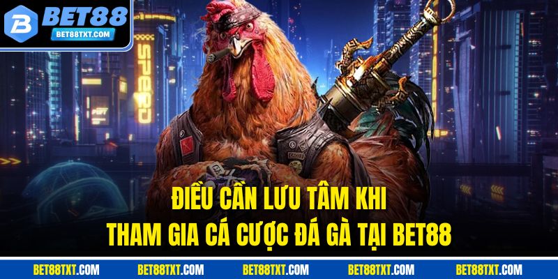 Điều cần lưu tâm khi tham gia cá cược đá gà tại BET88