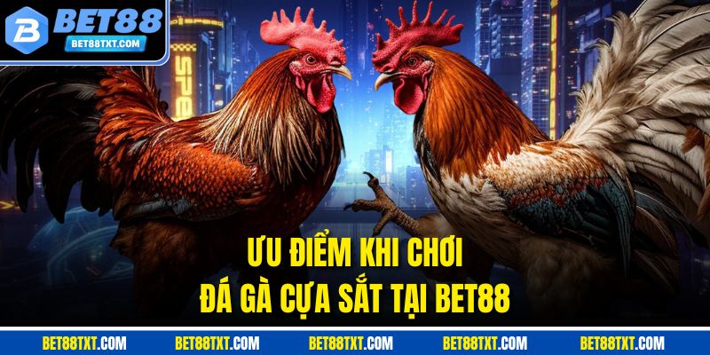 Ưu điểm khi chơi đá gà cựa sắt tại BET88